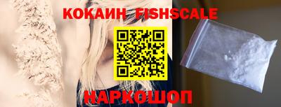 гашик Жуковский
