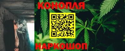 гашик Жуковский