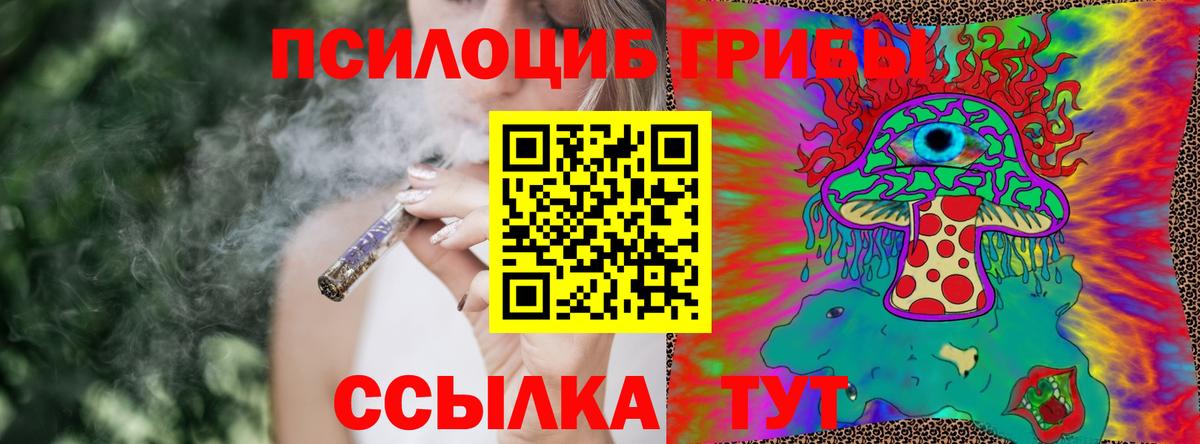 Галлюциногенные грибы Psilocybine cubensis  Вход с VPN  Лыткарино  Галлюциногенные грибы MAGIC MUSHROOMS 